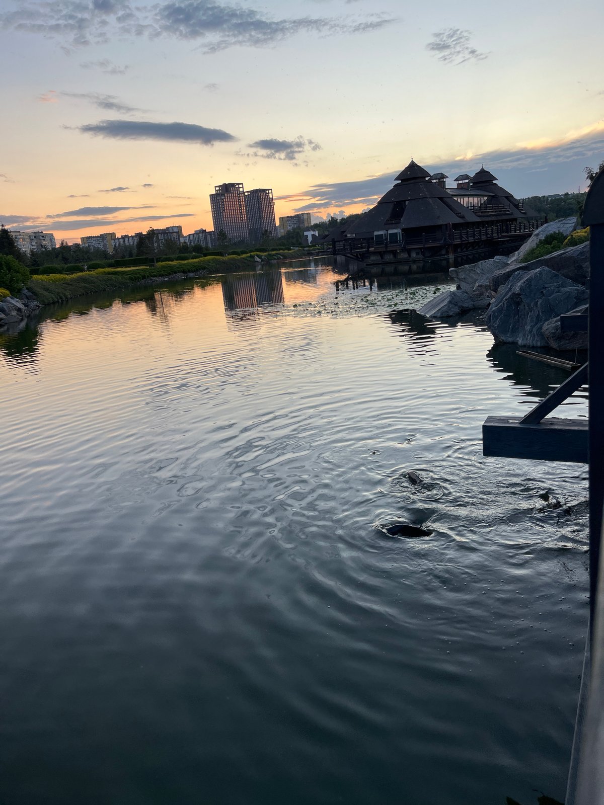 Dnipro riverside park at golden hour: wildlife, lilies, and thatched architecture