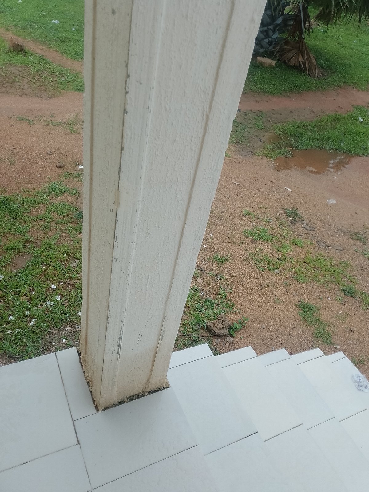 Witness documents ordinary urban fixtures and objects over hour