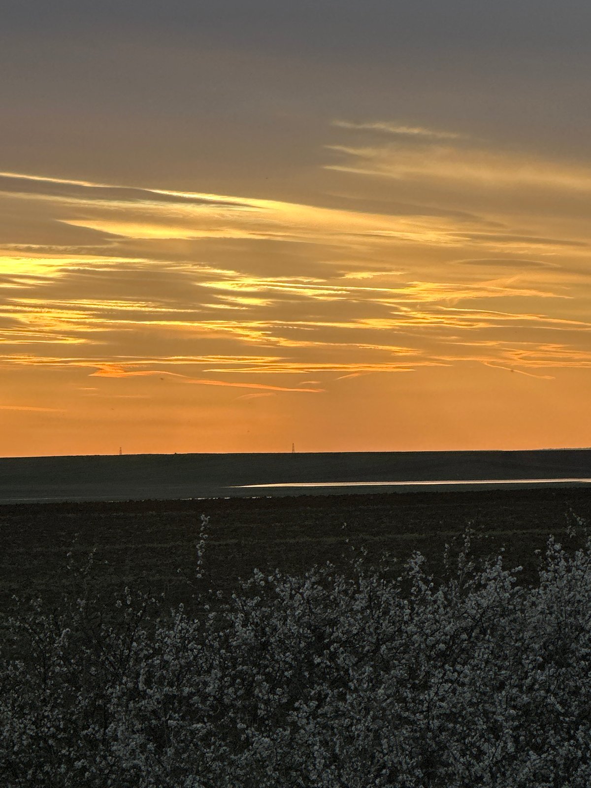 Spring blooms captured under dramatic sky in Nikolovo