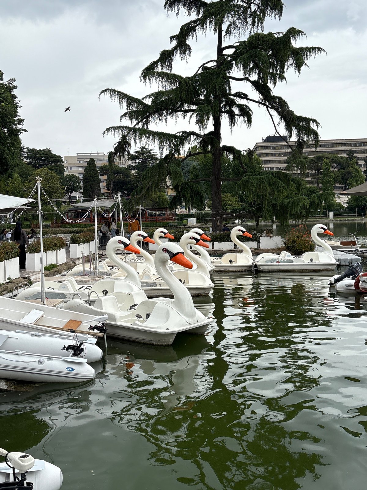 Casual scenes documented around Rome's waterfront and restaurants