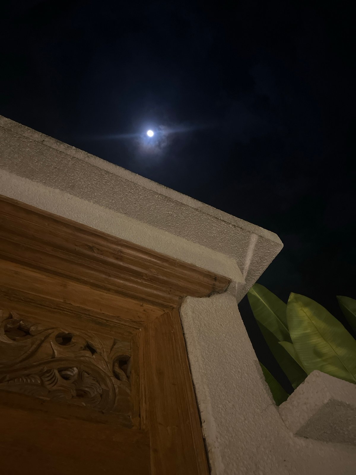 Nighttime nature documentation captured across Nusa Penida, Indonesia
