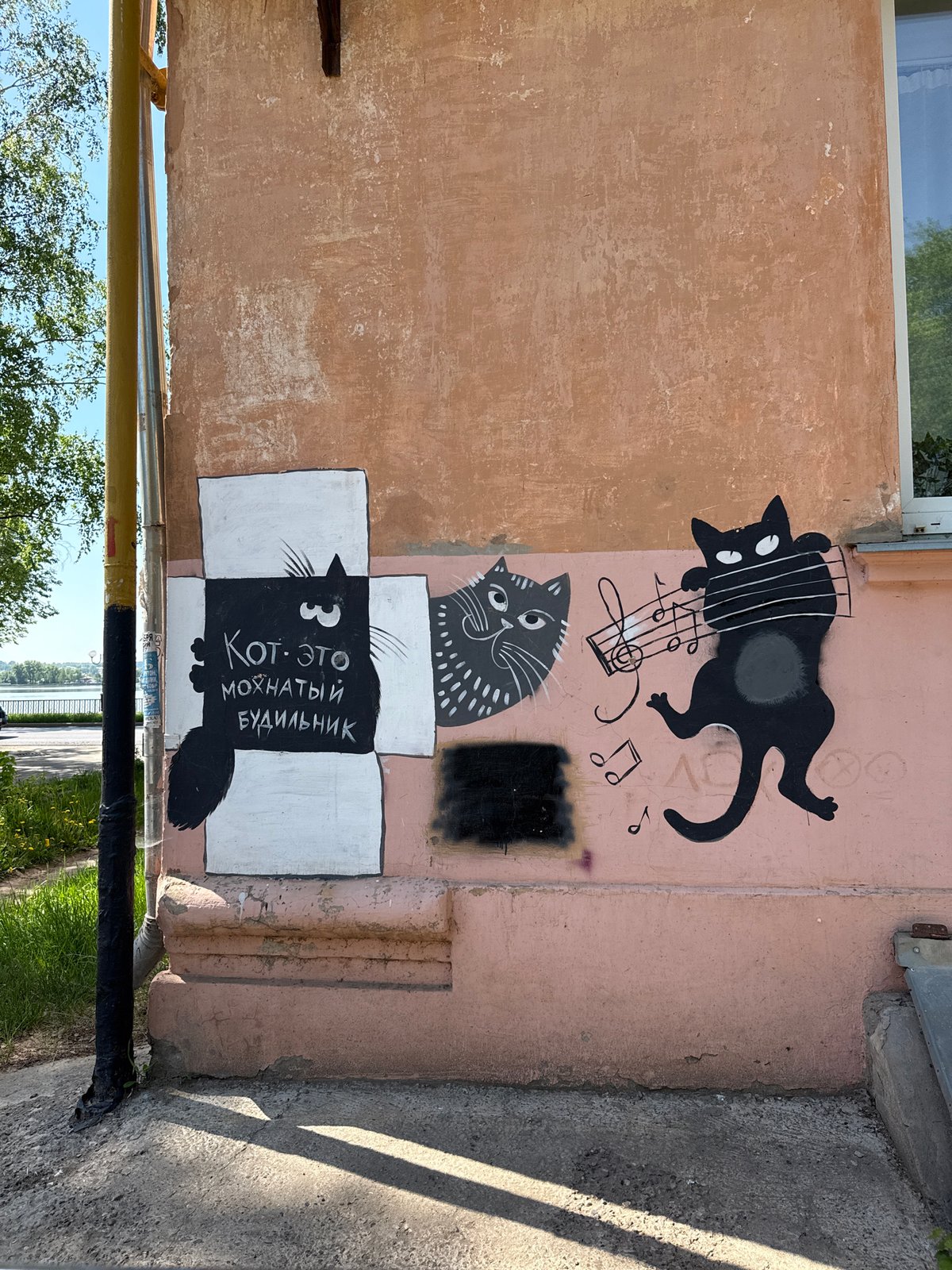 Cat mural spotted on building wall in Votkinsk, Russia