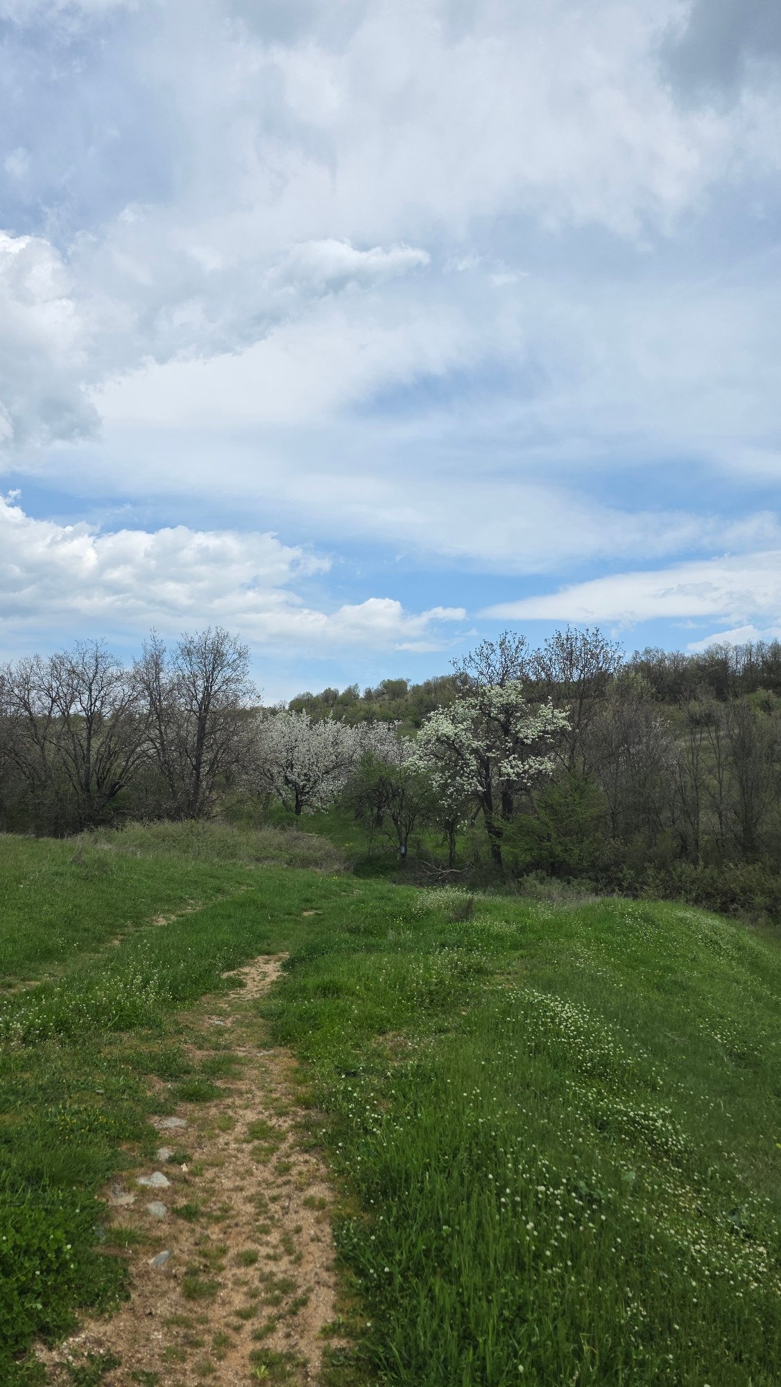 Spring pastoral scenes documented in rural Drenkovo, Bulgaria
