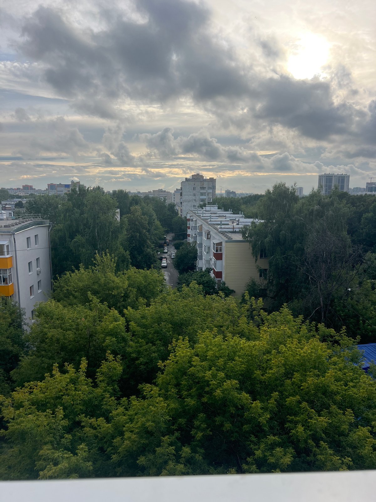 Green canopy, a forest-themed park, and Kazan's urban skyline
