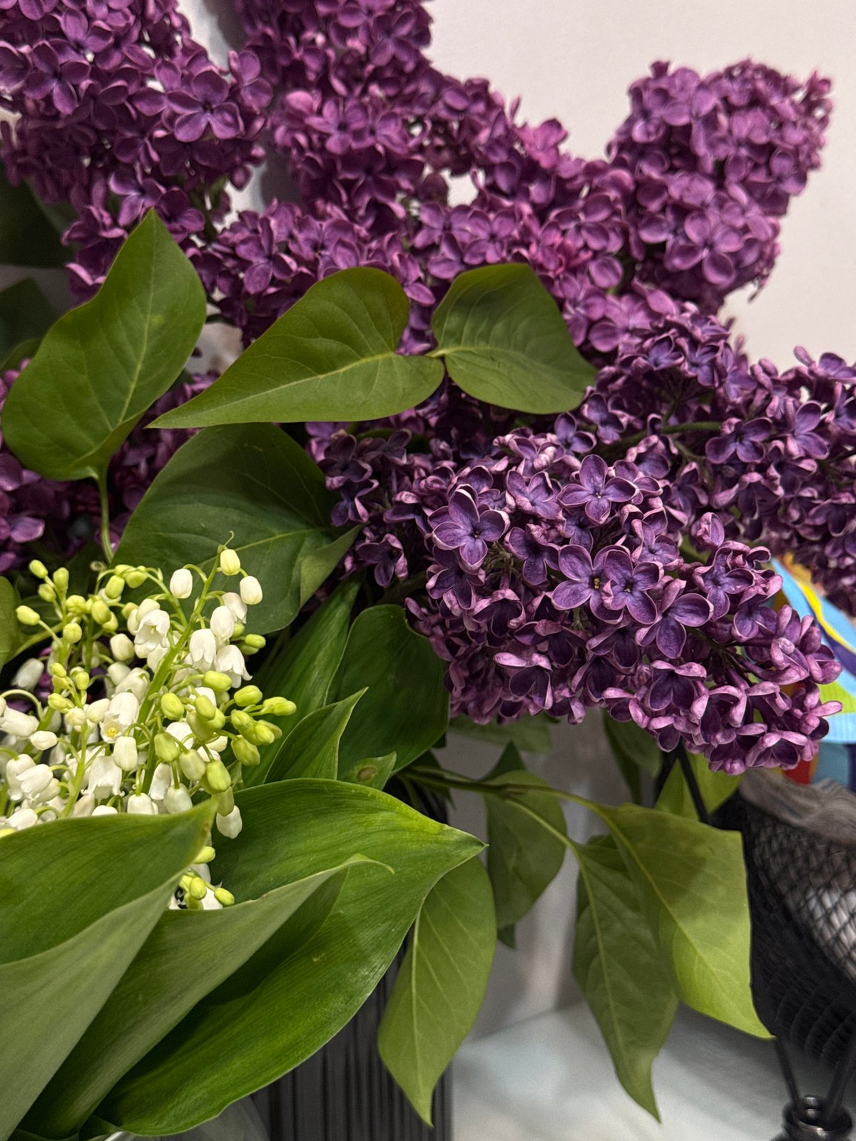 Spring flowers arranged indoors, documented over 49 minutes