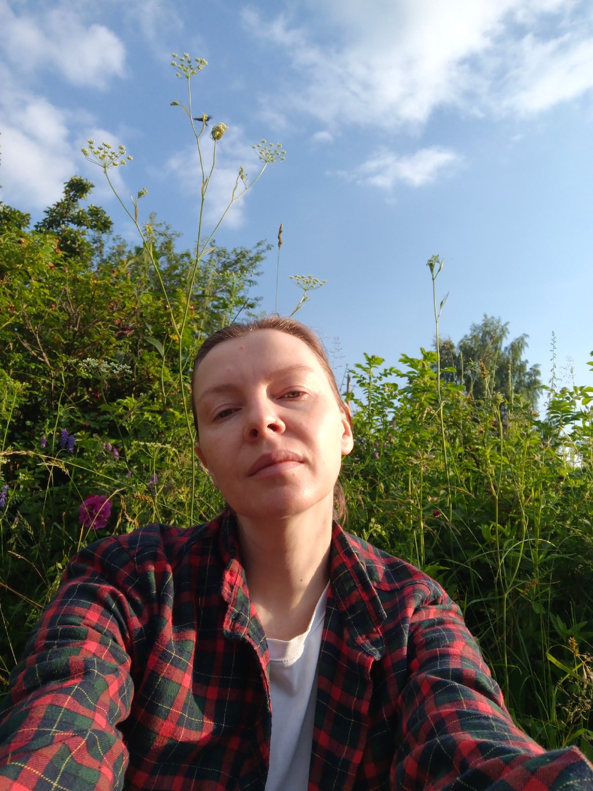 A quiet summer morning in a Chaikovsky backyard garden