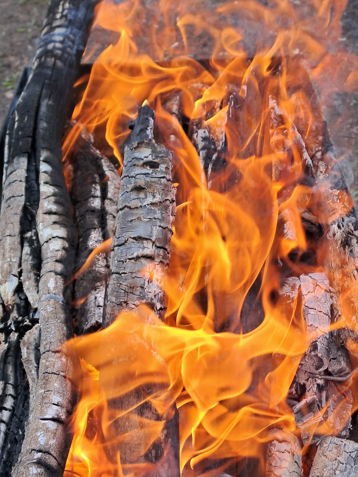Camping activity with tent and fire documented in Полянки