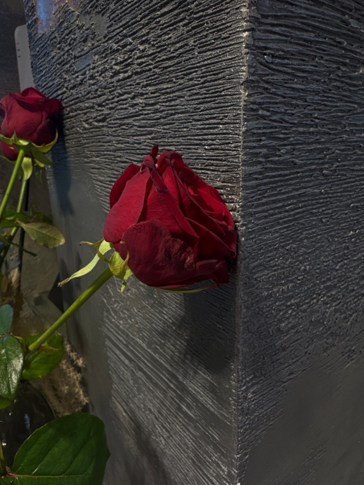 Witness documents roses and breakfast cereal in domestic setting