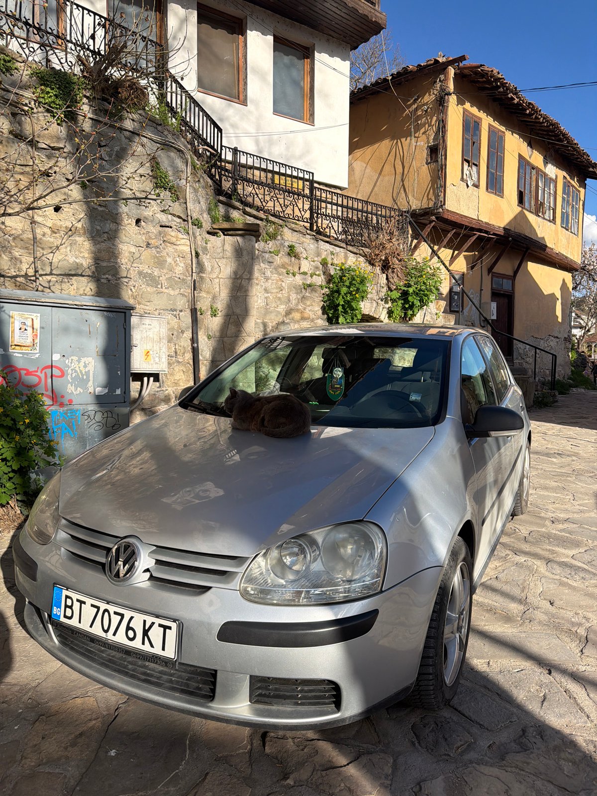 Cat rests on car hood near mural in Veliko Tarnovo