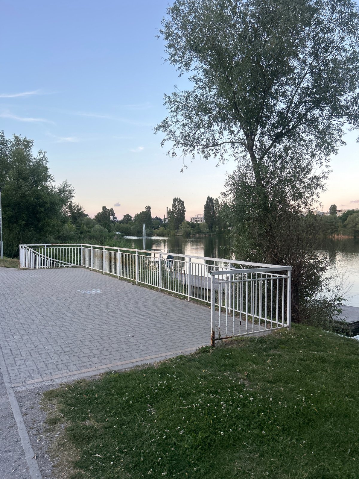 A Sofia evening: park waterfront, kitchen, and a spaniel
