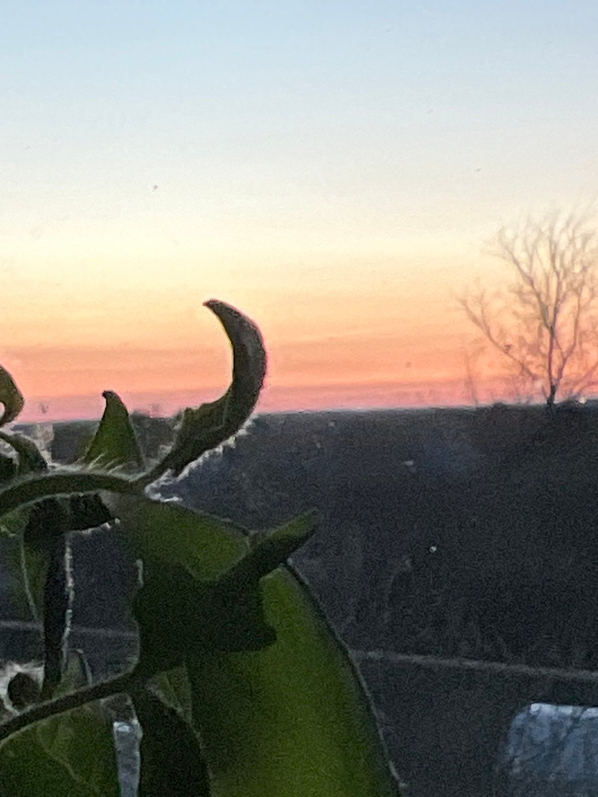 Sunset documented from indoor vantage point in Votkinsk, Russia