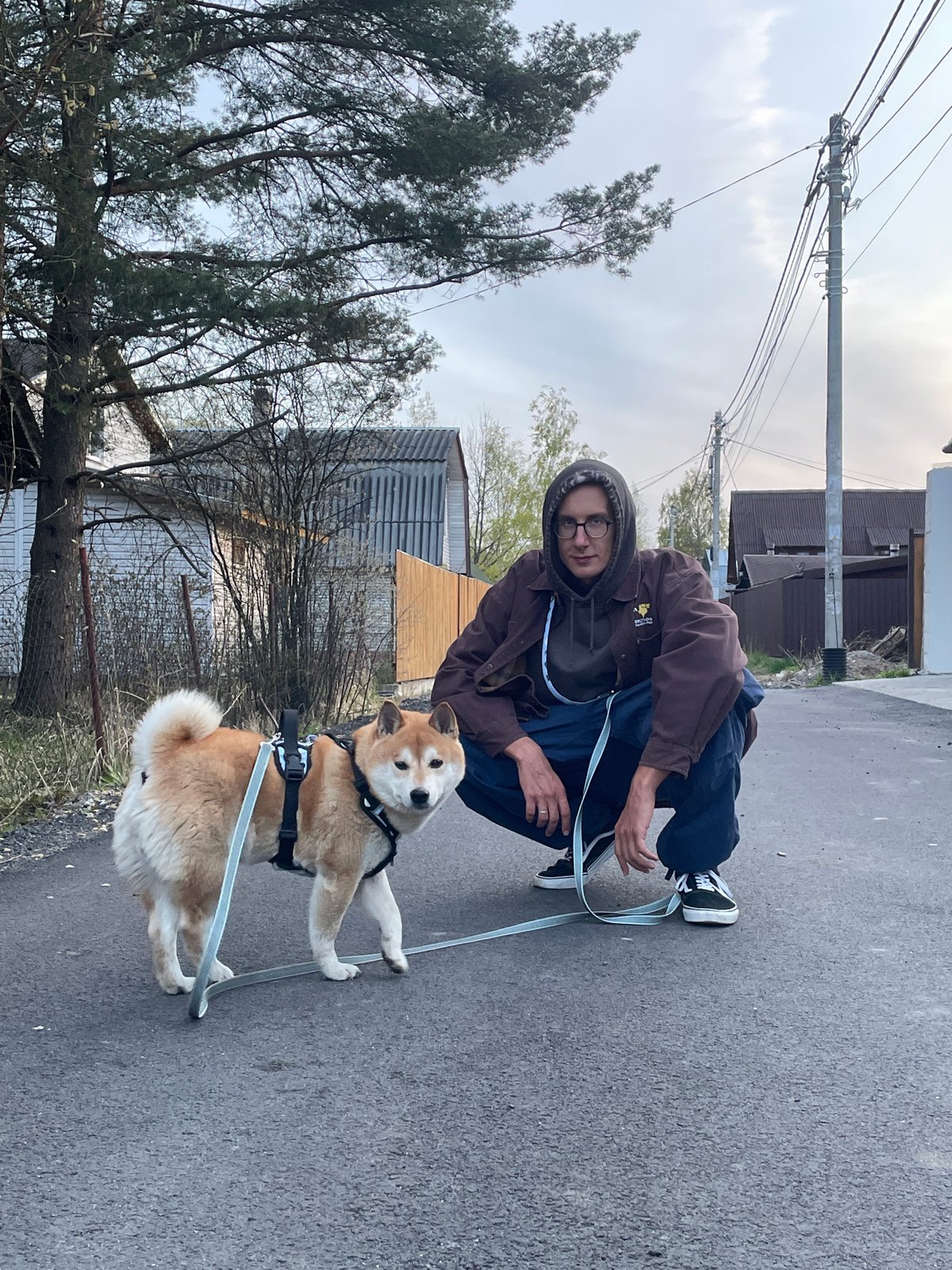 Everyday life documented in Sestroretsk: dog walks, cleanup, cats