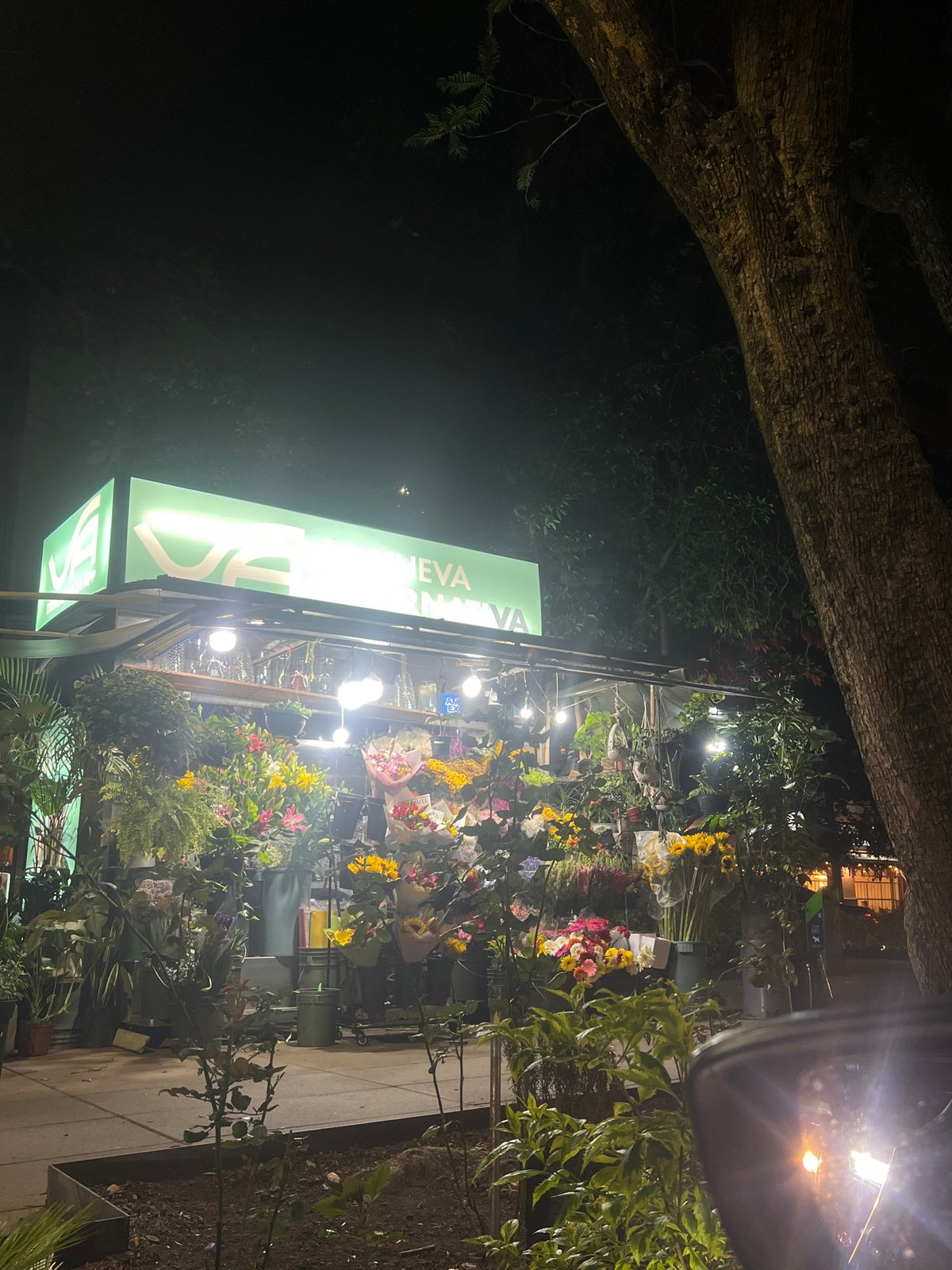 Nighttime florist shop illuminated on Mexico City street