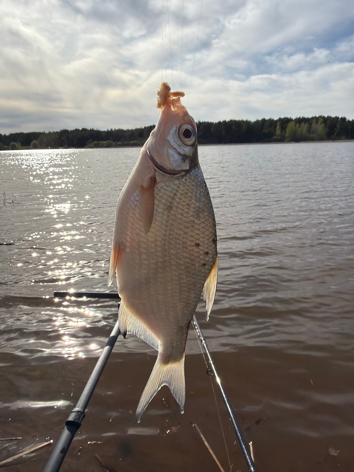 Angler catches fish during lakeside outing in Chaykovsky, Russia