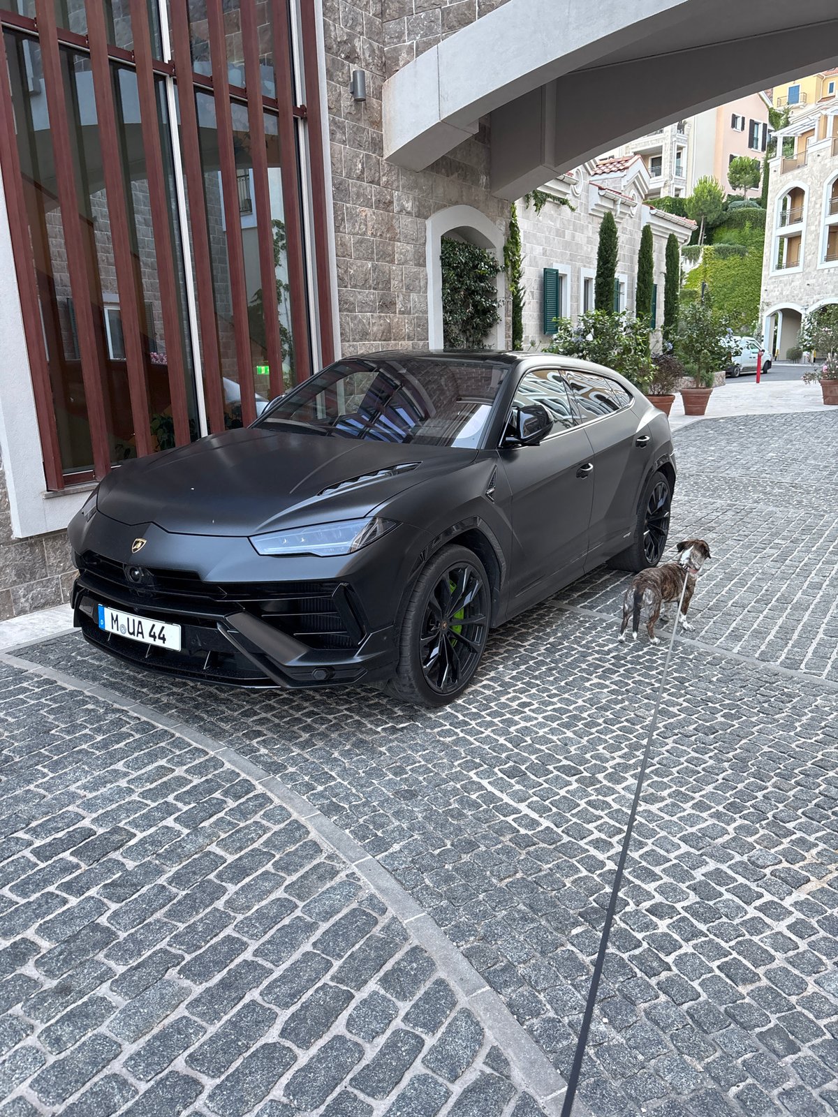 Evening stroll documented through coastal Montenegro town with dog