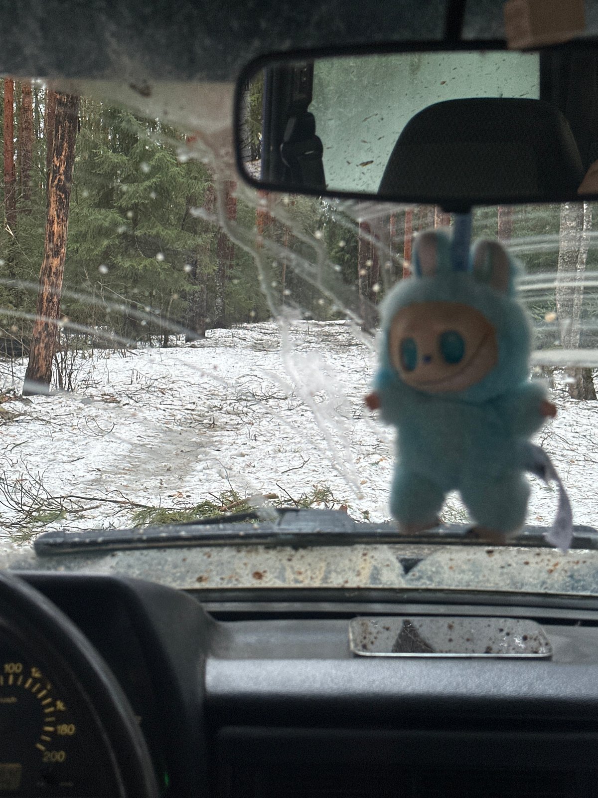 Spring snowfall observed from vehicle in Borinka, Russia