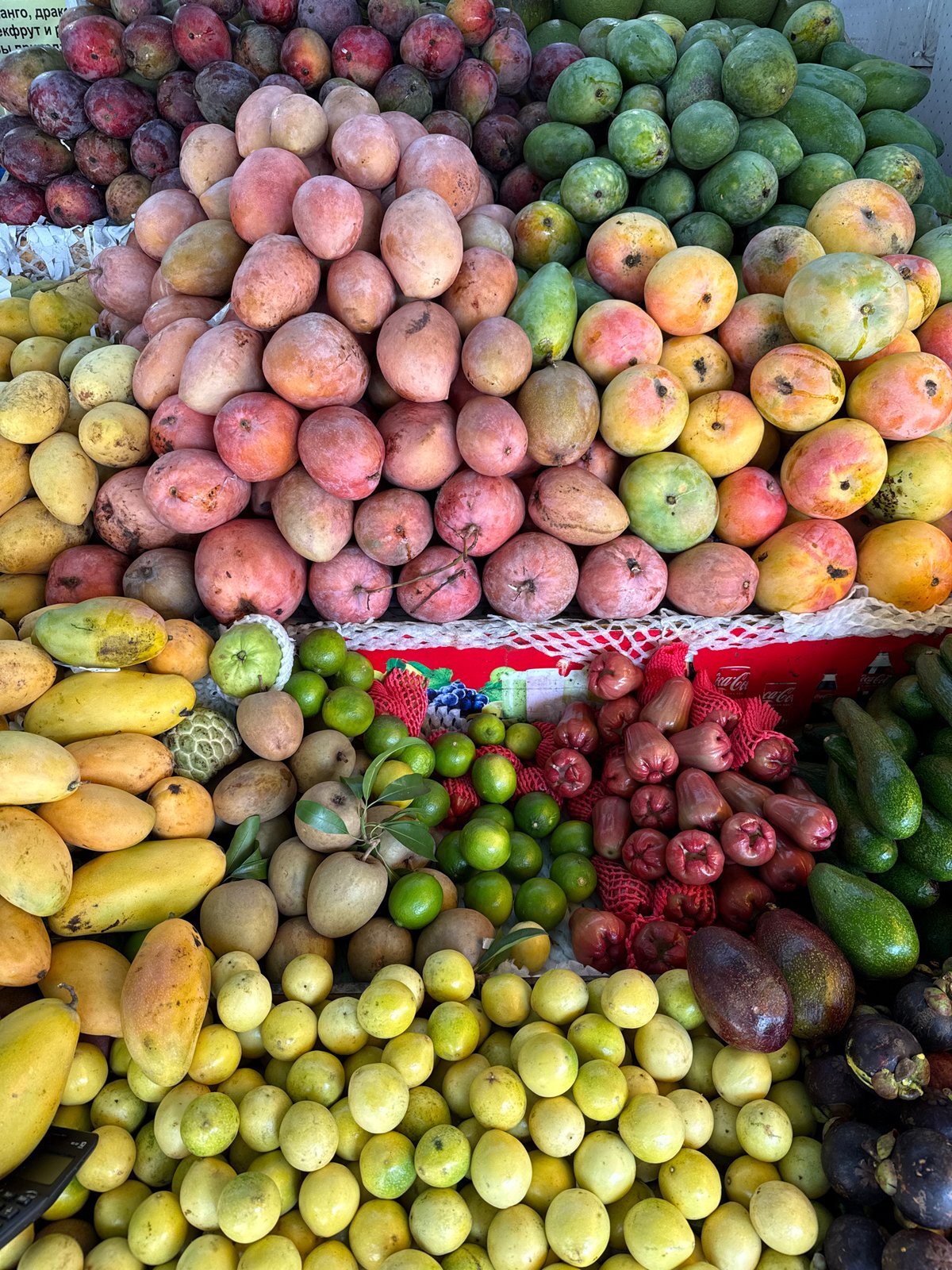 Street scenes and market life in Nha Trang on a sunny morning
