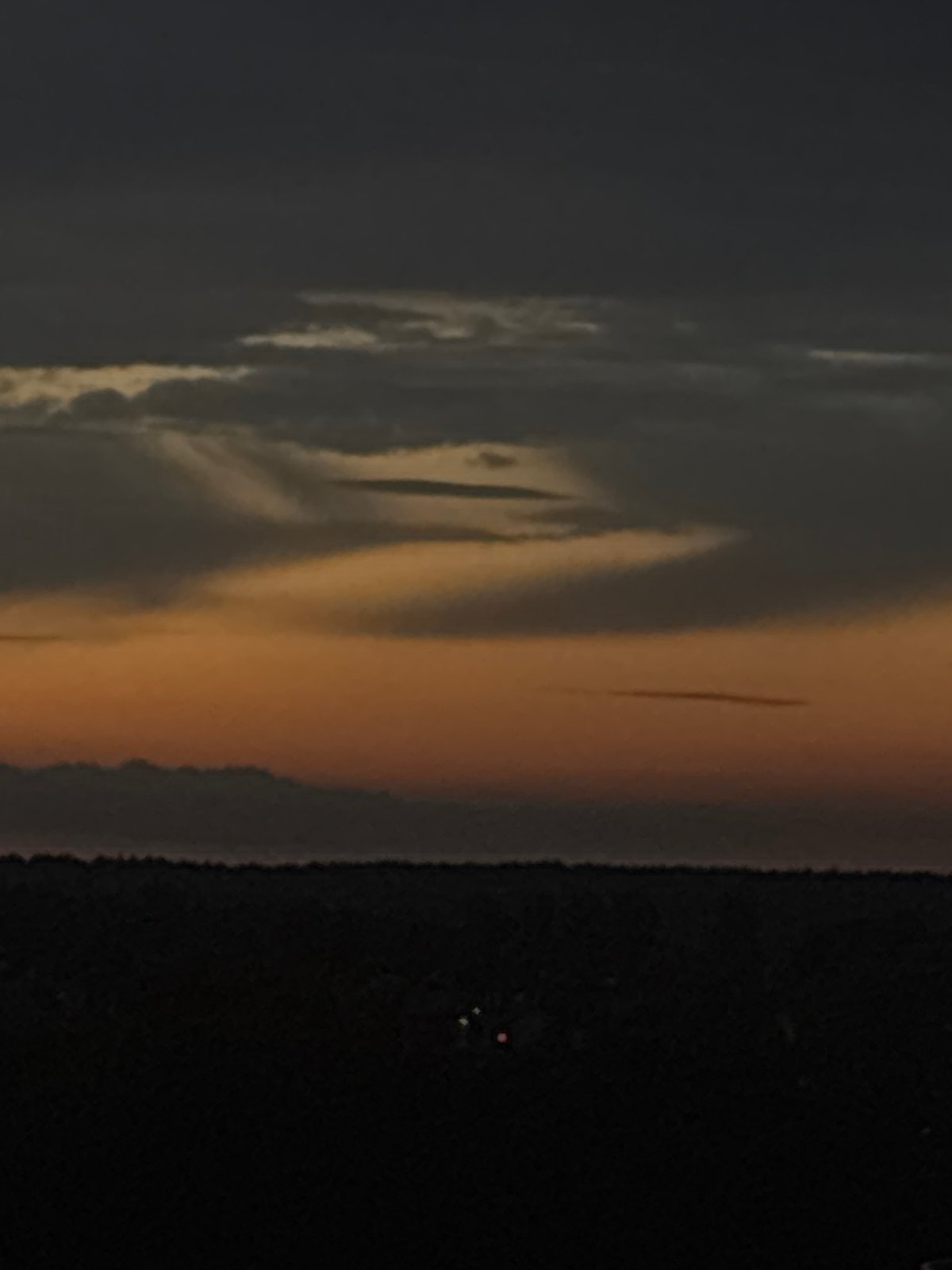 Dusk skyline and treeline silhouetted against an orange horizon