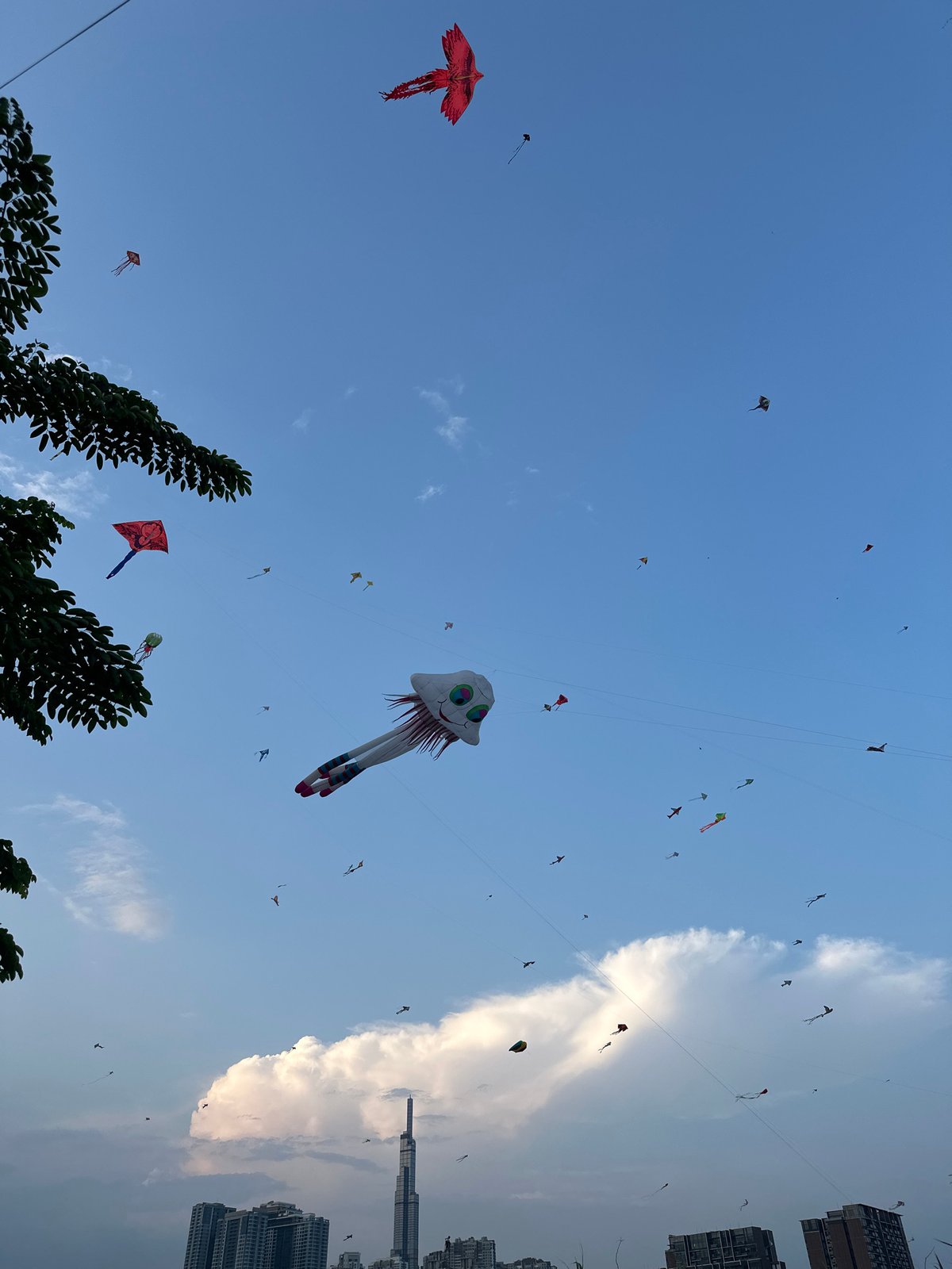 Kite festival draws crowds to Thủ Đức waterfront celebration