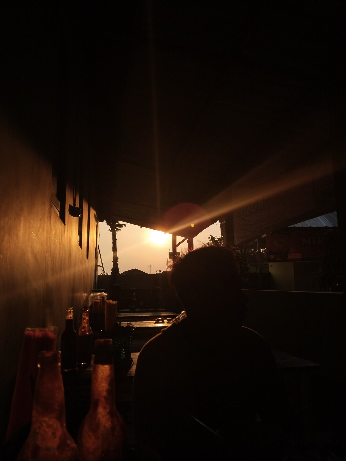 Sunset silhouettes and a sleeping cat, same morning hour