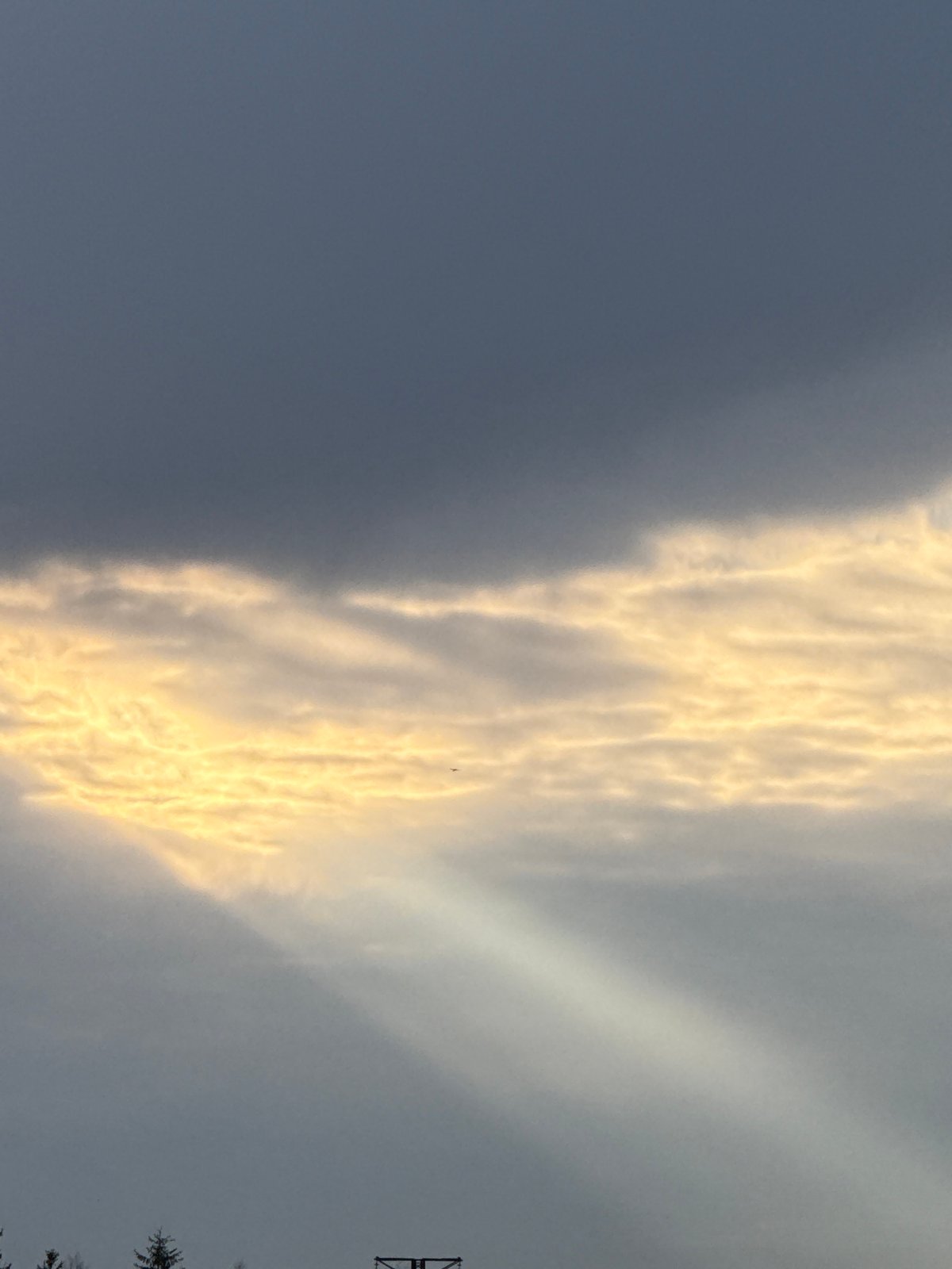 Golden-edged clouds observed over Lupanovo, Russia early morning