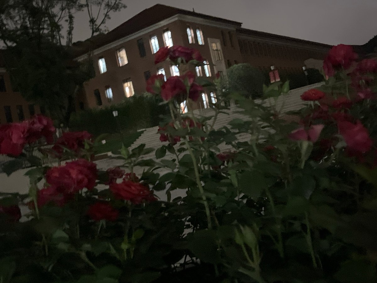 Nighttime journey documented across central Chongqing districts