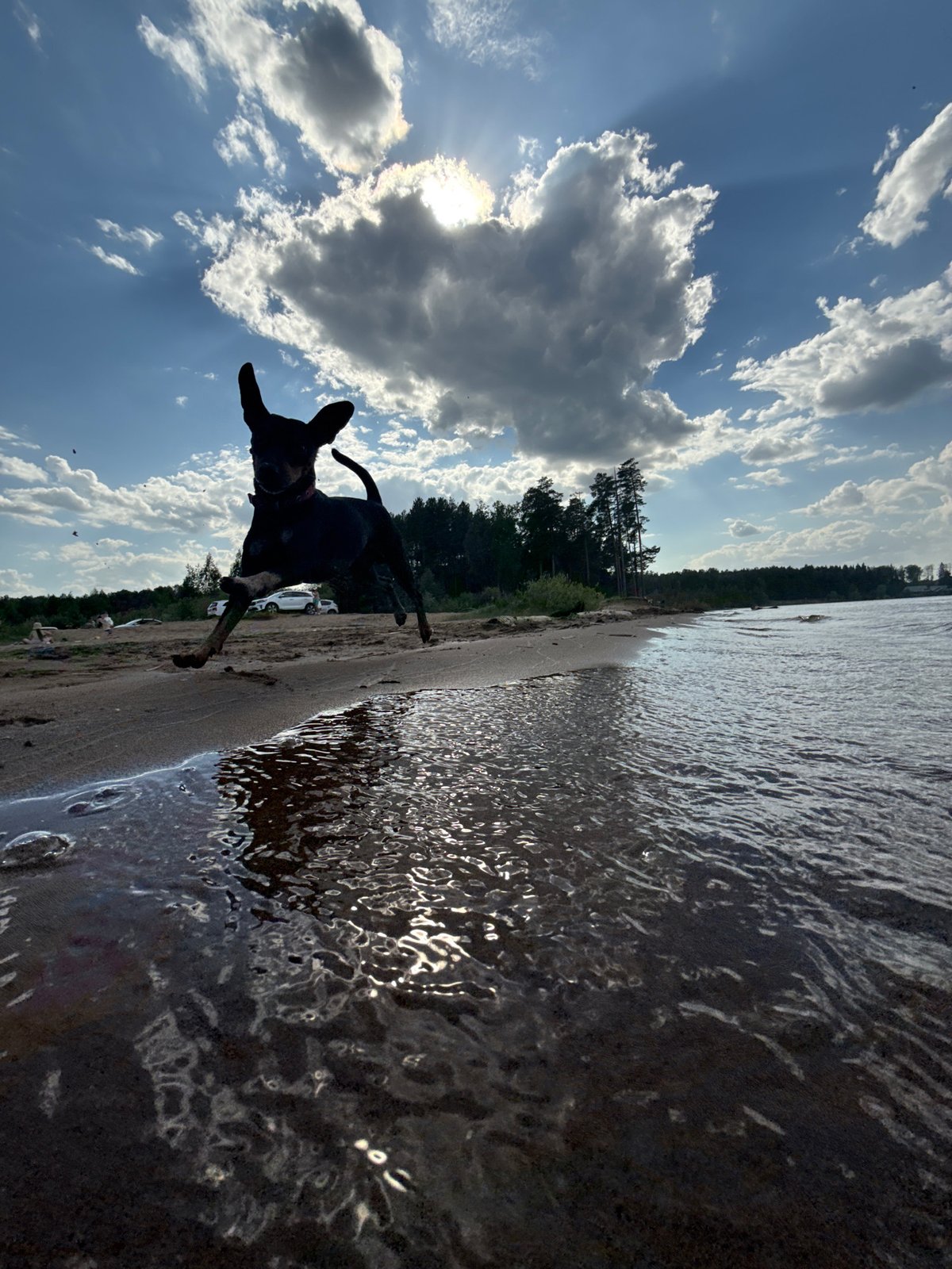 Beach day activities captured at Chaikovsky waterfront
