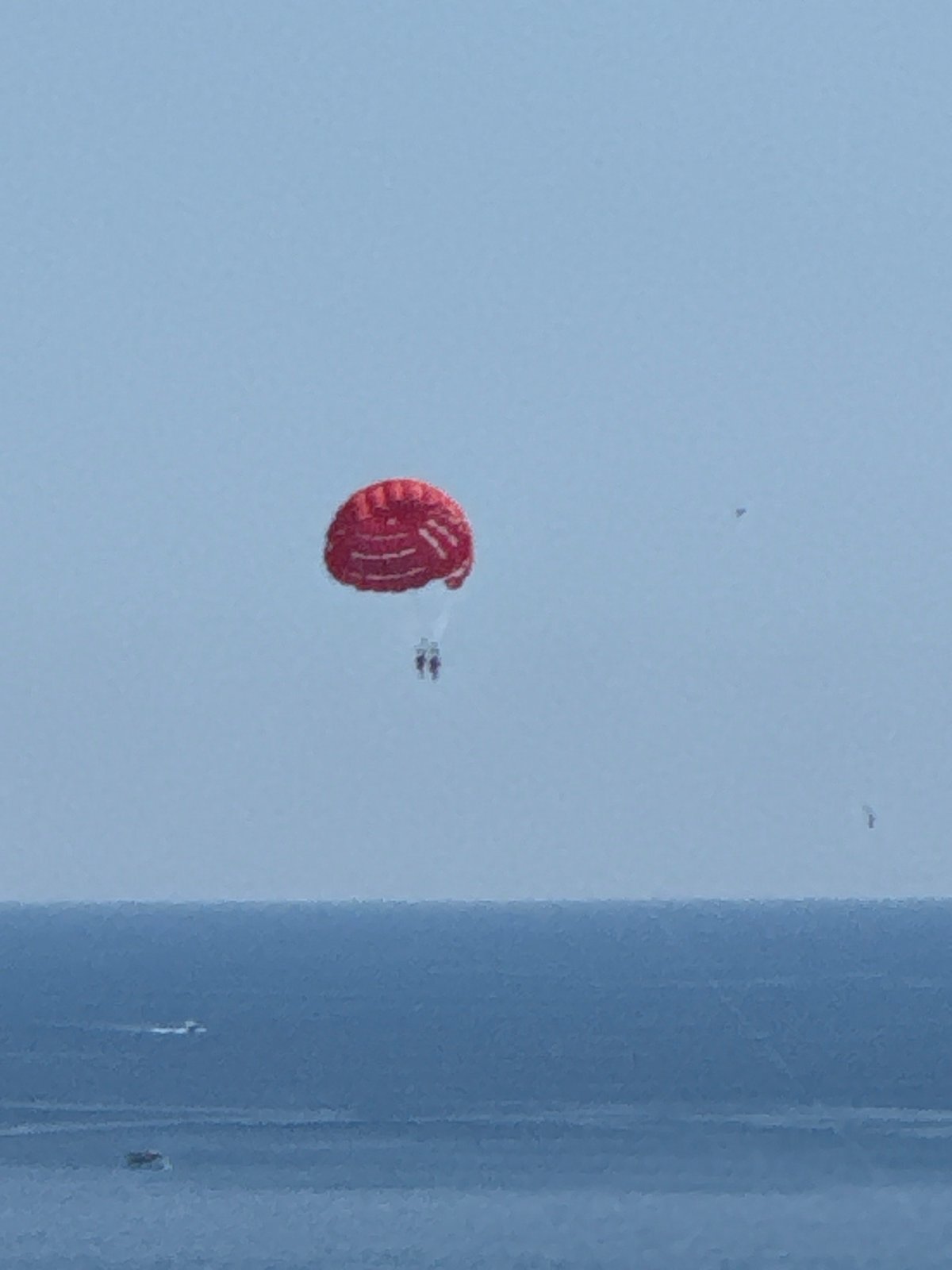 Paragliders and parasailers over the Montenegrin coast