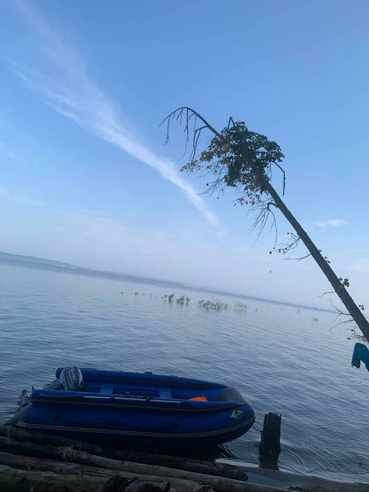 Lazy morning by the Kama River — boat, logs, dog, tent