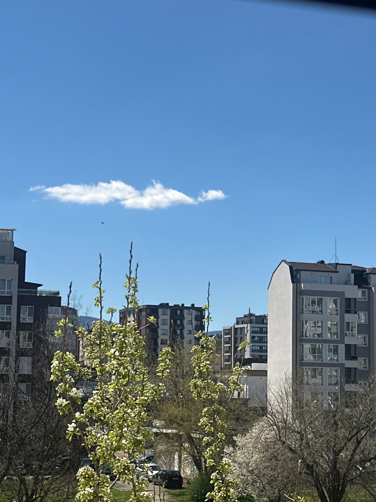 Clear morning in Sofia captured through casual street observations