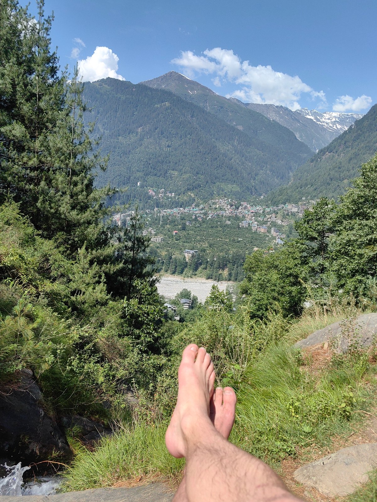 Morning forest walk documented in Vashisht valley, India