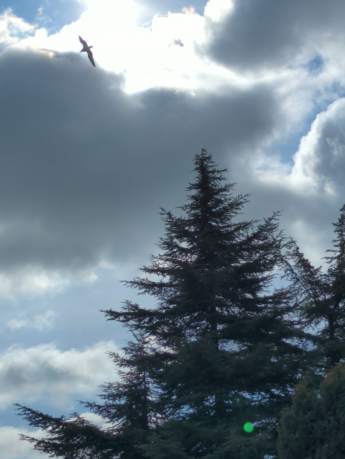 Mixed cloud formations documented over Varna, Bulgaria morning sky