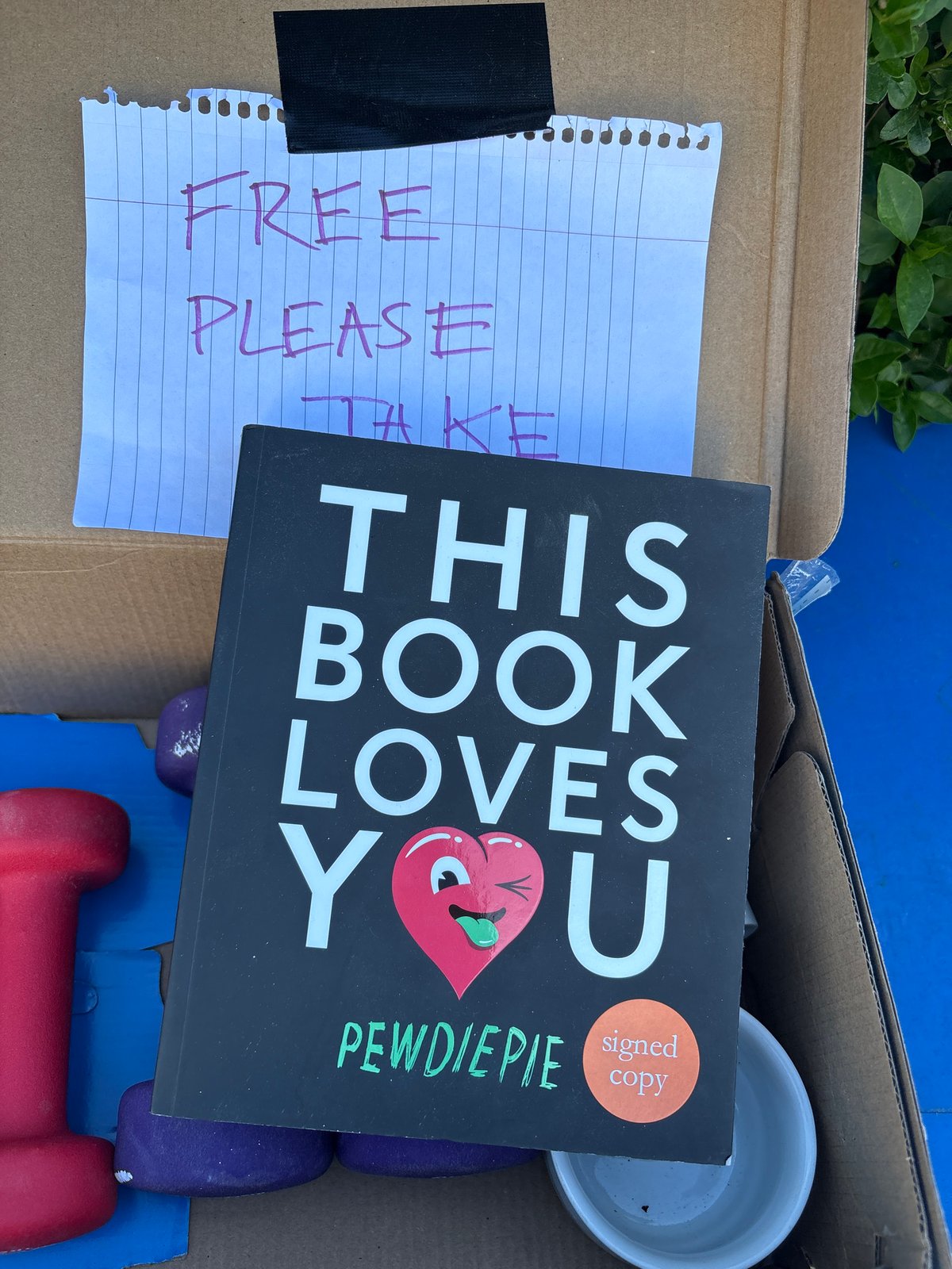 Signed PewDiePie book left free in London cardboard box