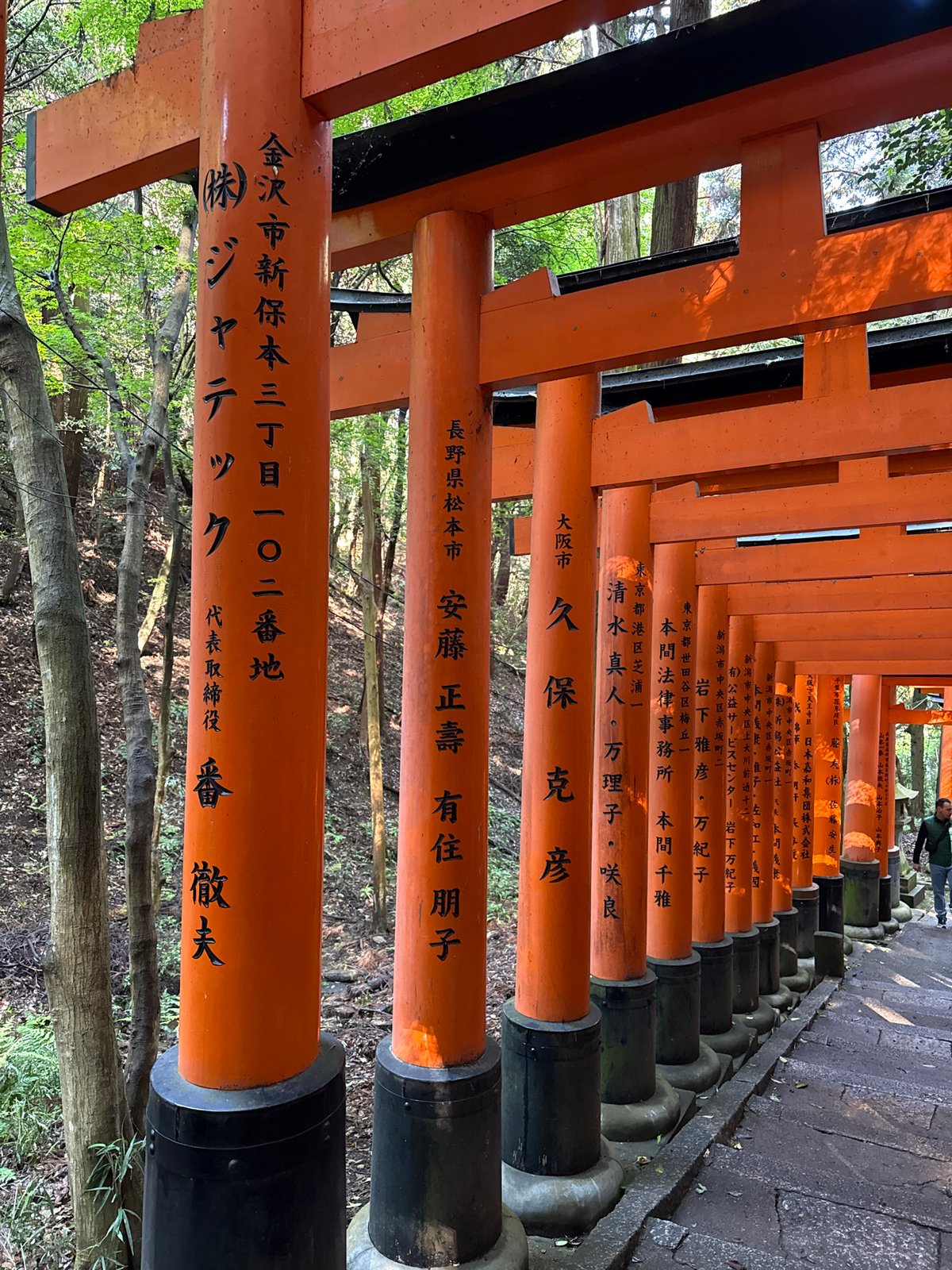 Tourist captures classic tunnel view at Kyoto's Fushimi Inari shrine