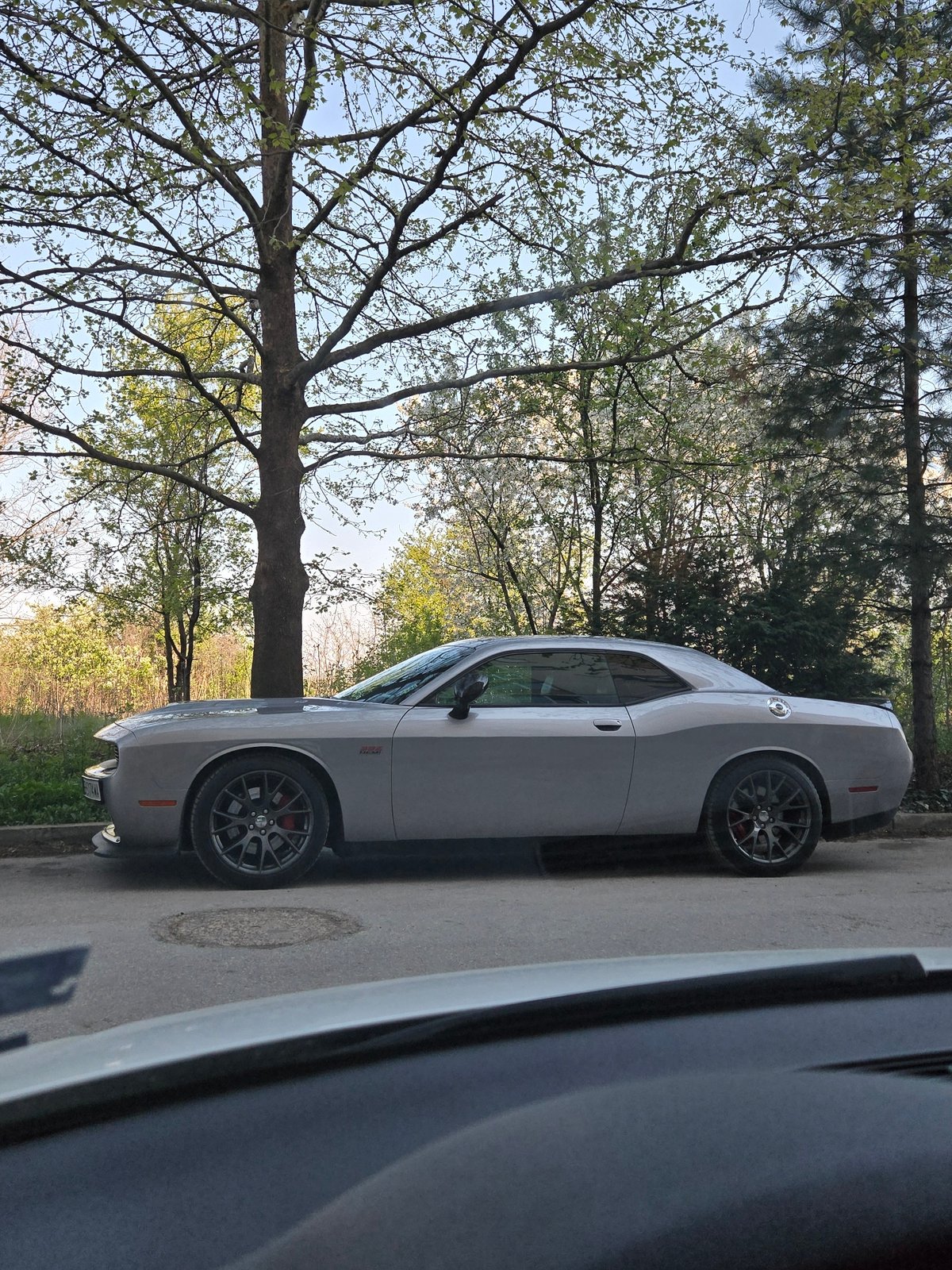 Gray Dodge Challenger parked in suburban area during spring morning