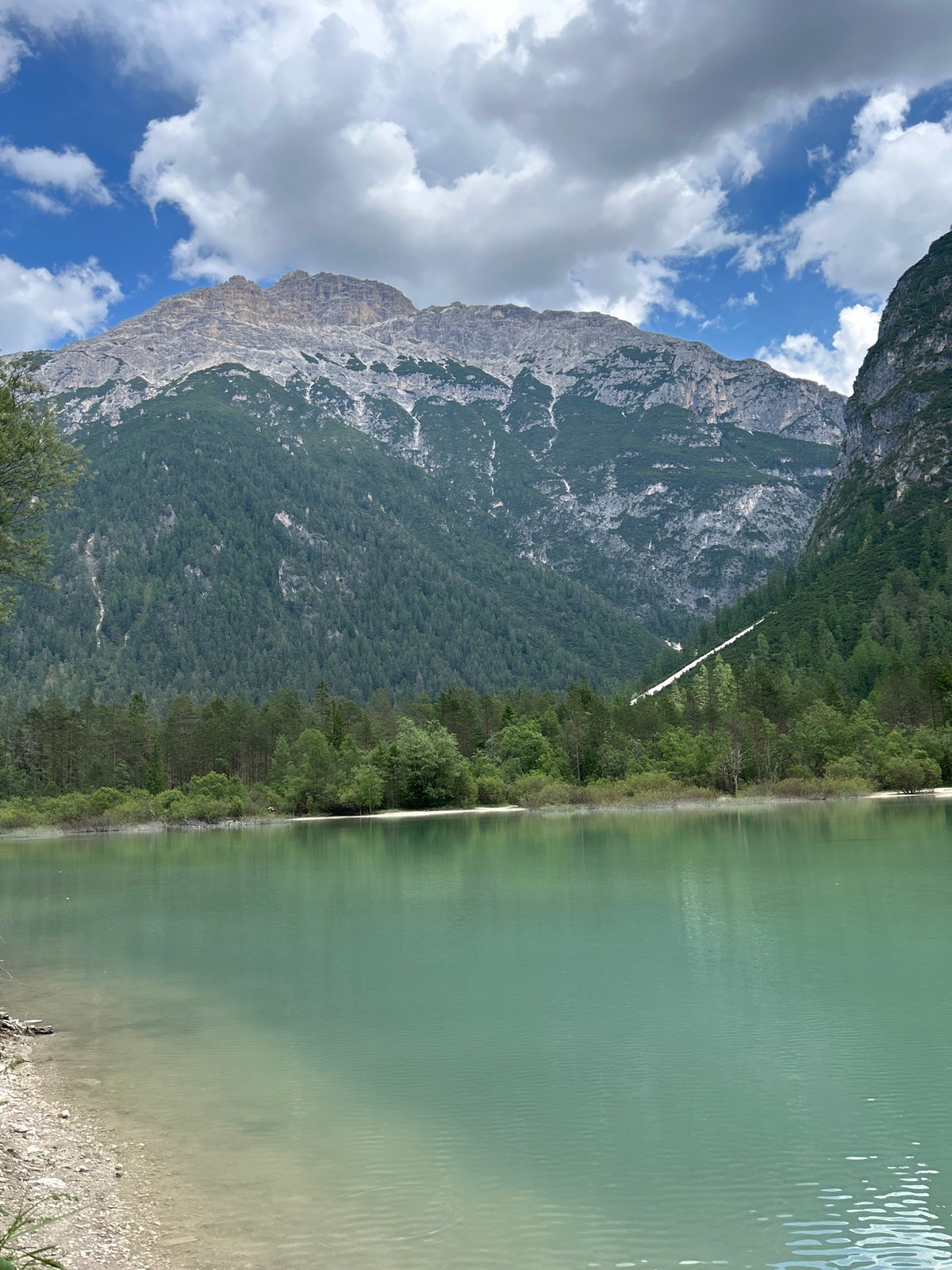 Alpine lake photography session with dog in tow