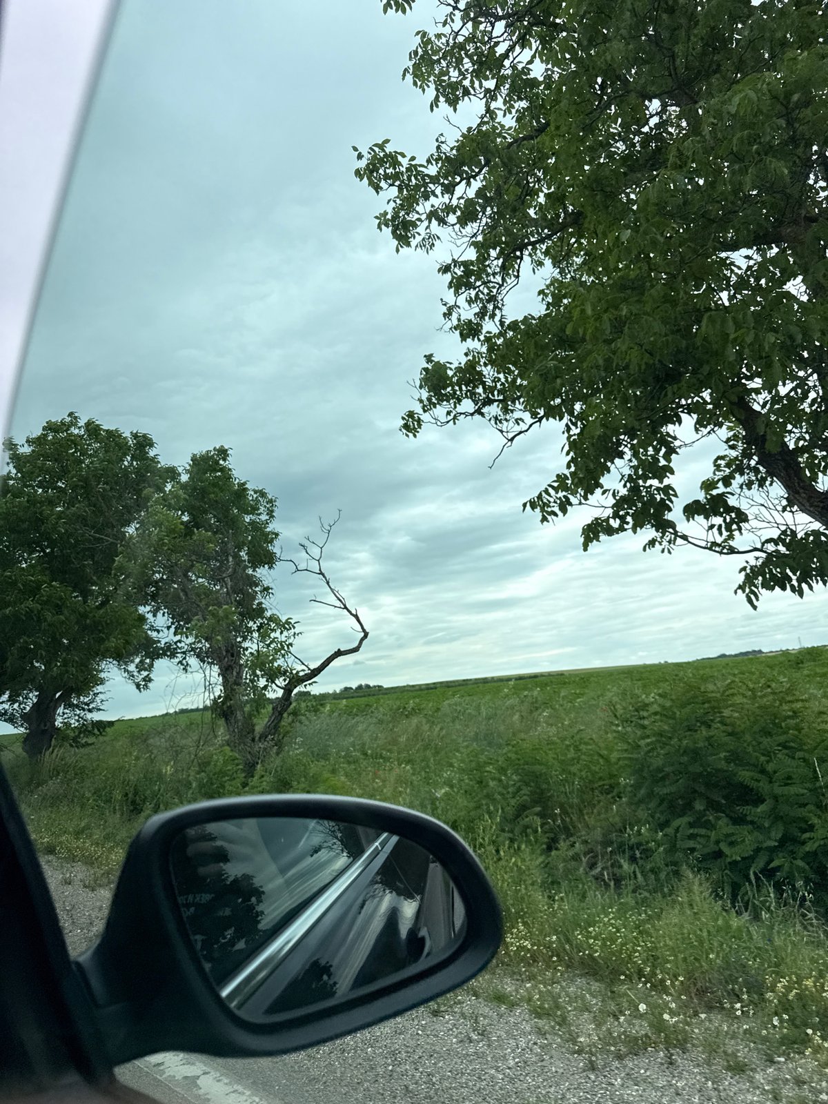 Driver travels gravel road through green countryside near Lovech