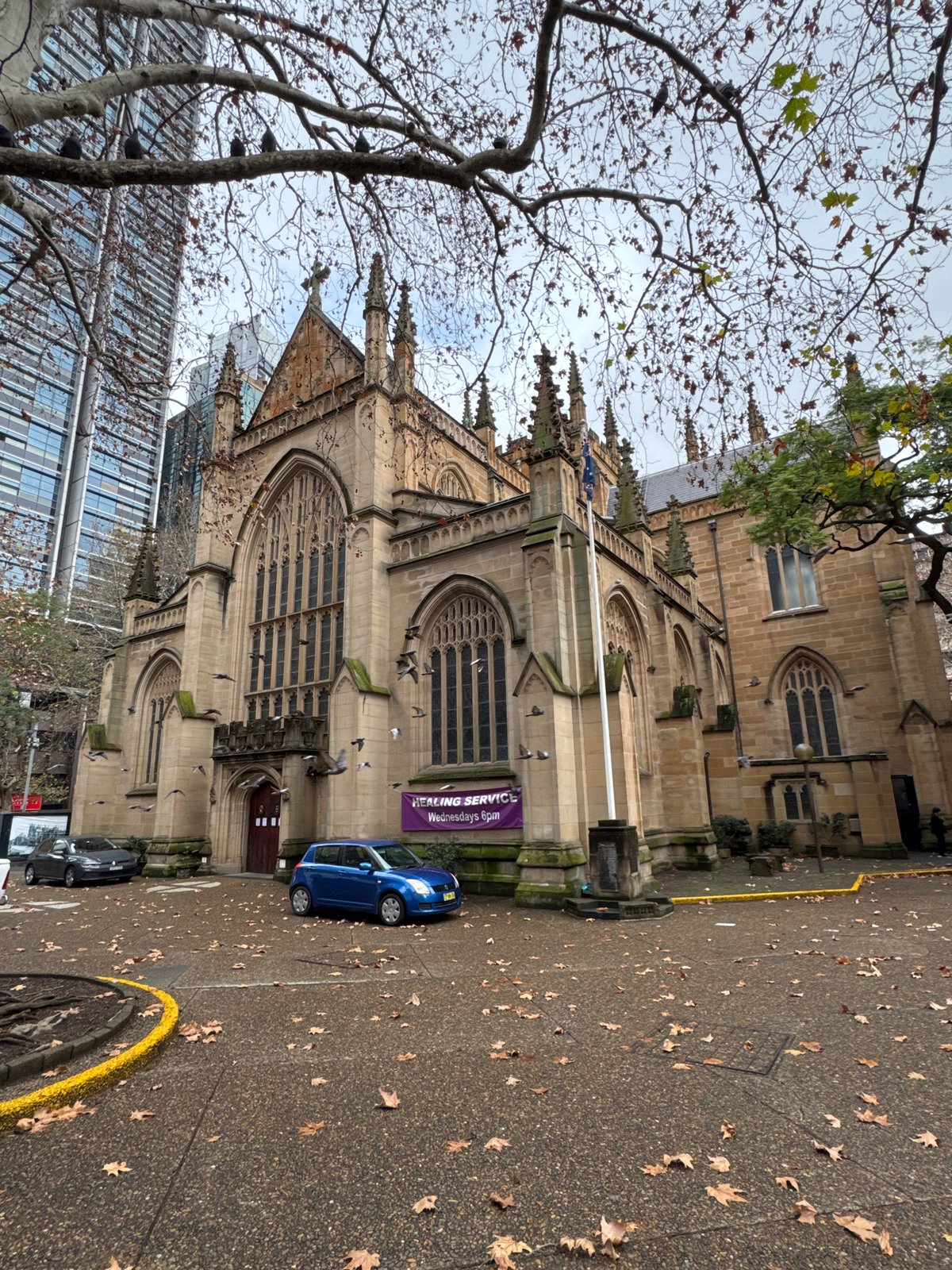 Gothic churches spotted across Sydney on a winter night
