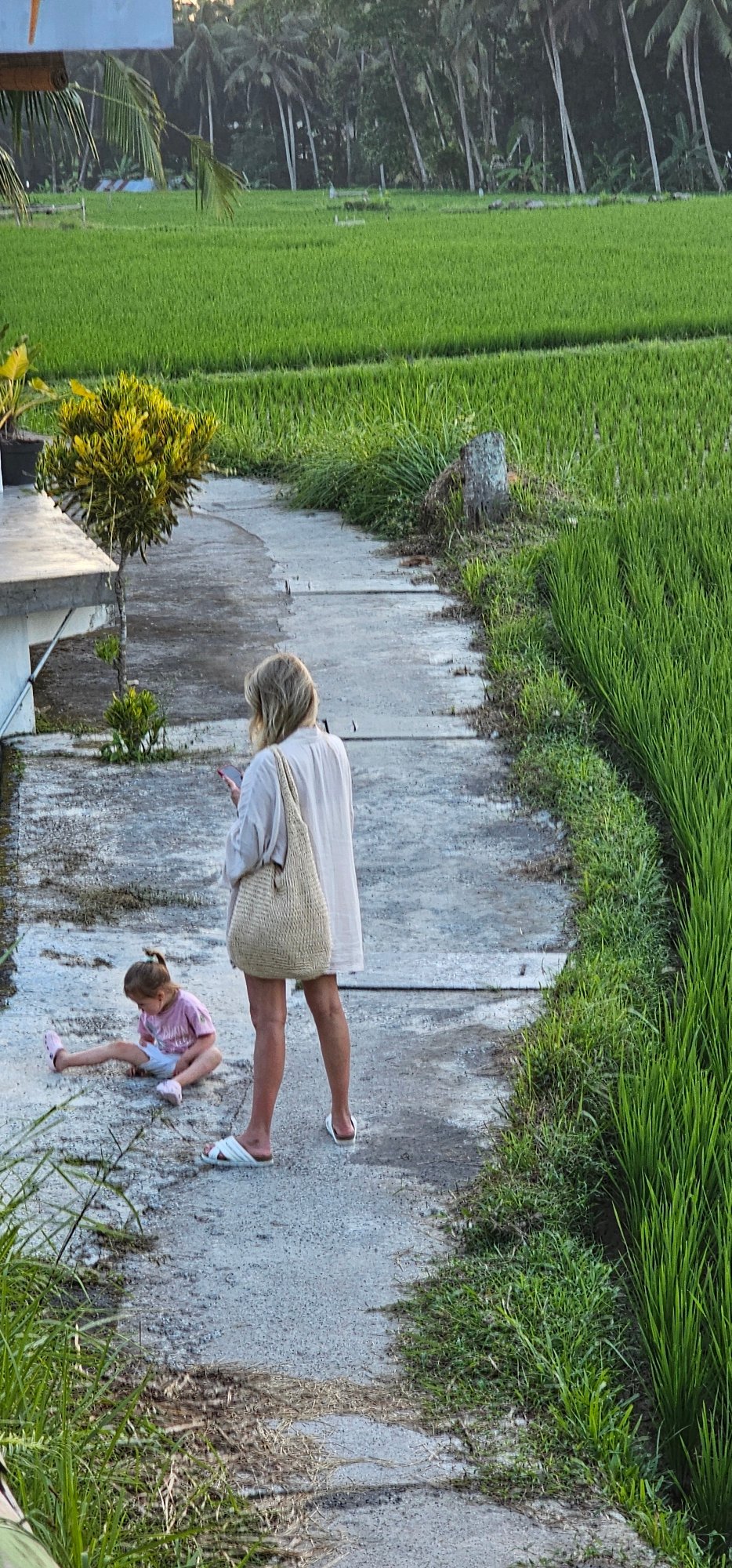 Tourist documents Tegallalang rice terraces and daily life scenes
