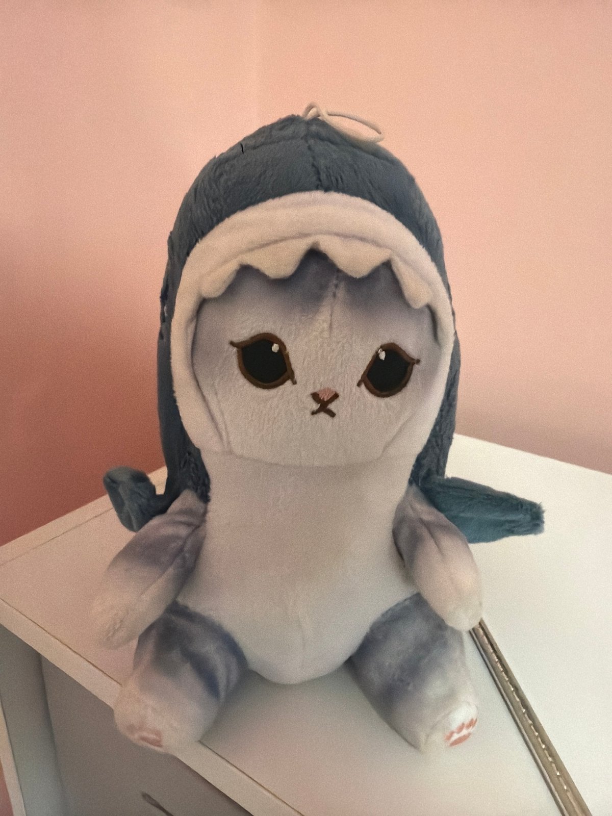 Plush toy spotted on white surface in Chaikovsky, Russia