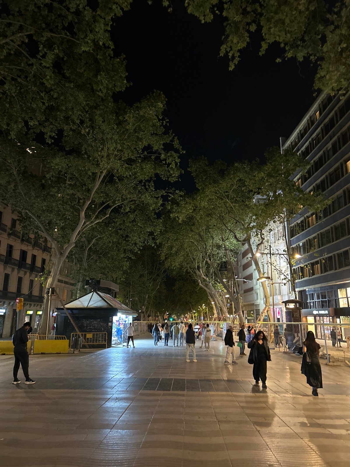 Street artist performs for crowds in Barcelona's historic district