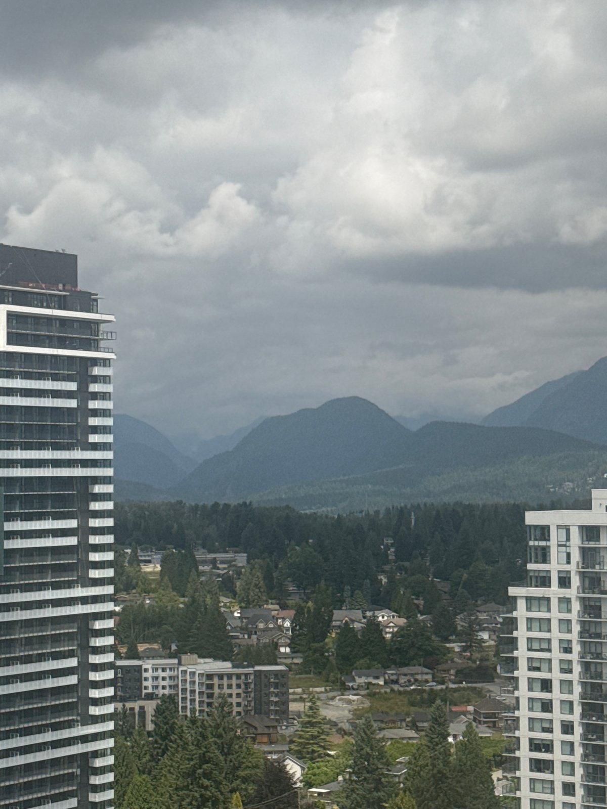 High-rise views over Coquitlam with mountains and lavender