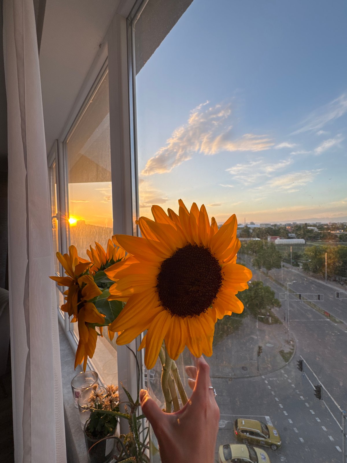 Quiet evening at home documented in Plovdiv apartment
