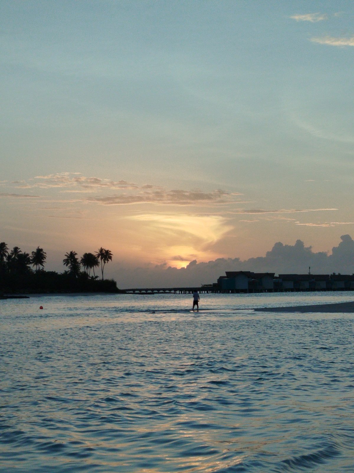 Sunset stroll on a Maldives beach, heron and footprints in sand