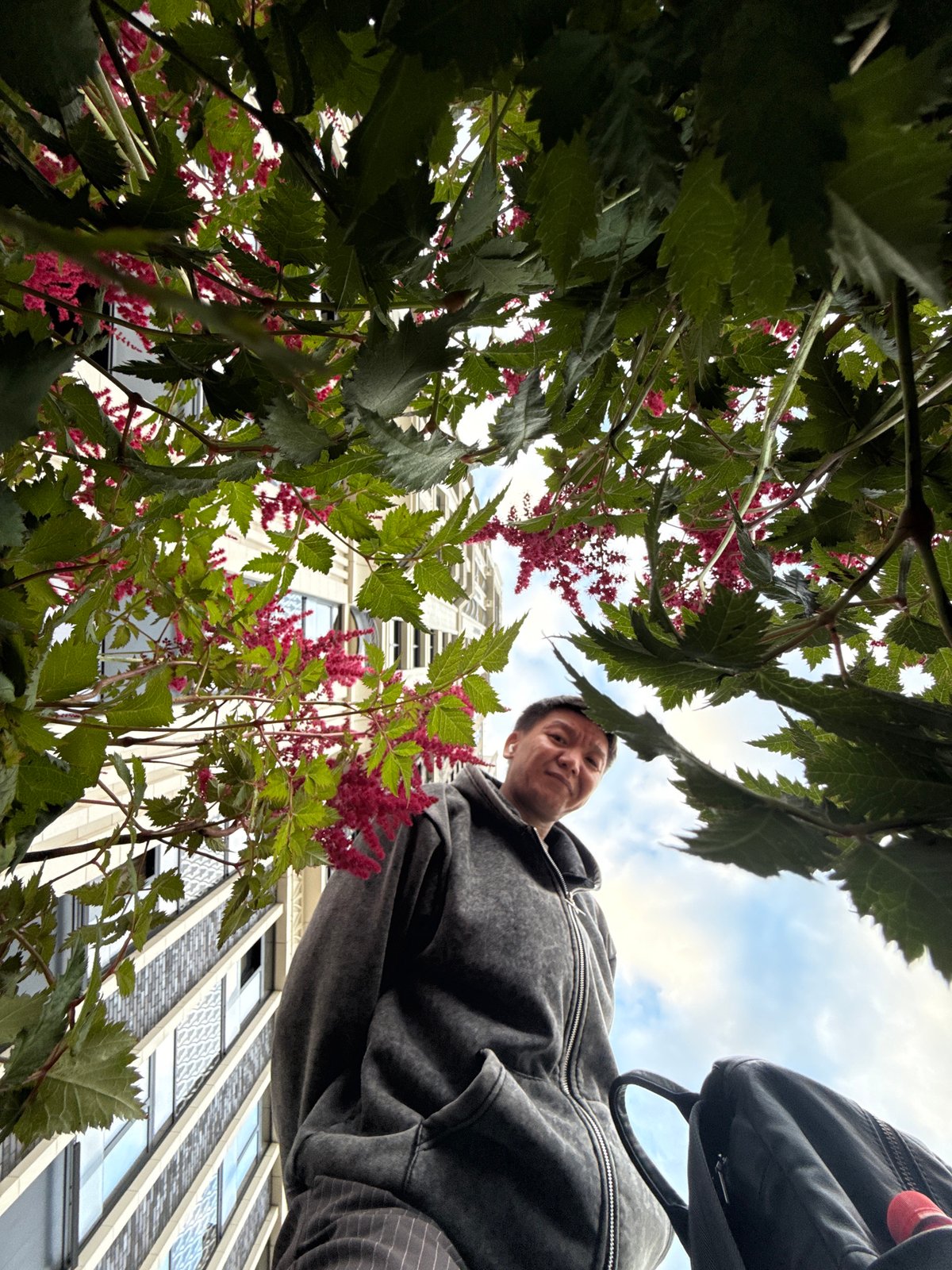 Grey hoodie, wooden bench, looking up — Khimki, Russia