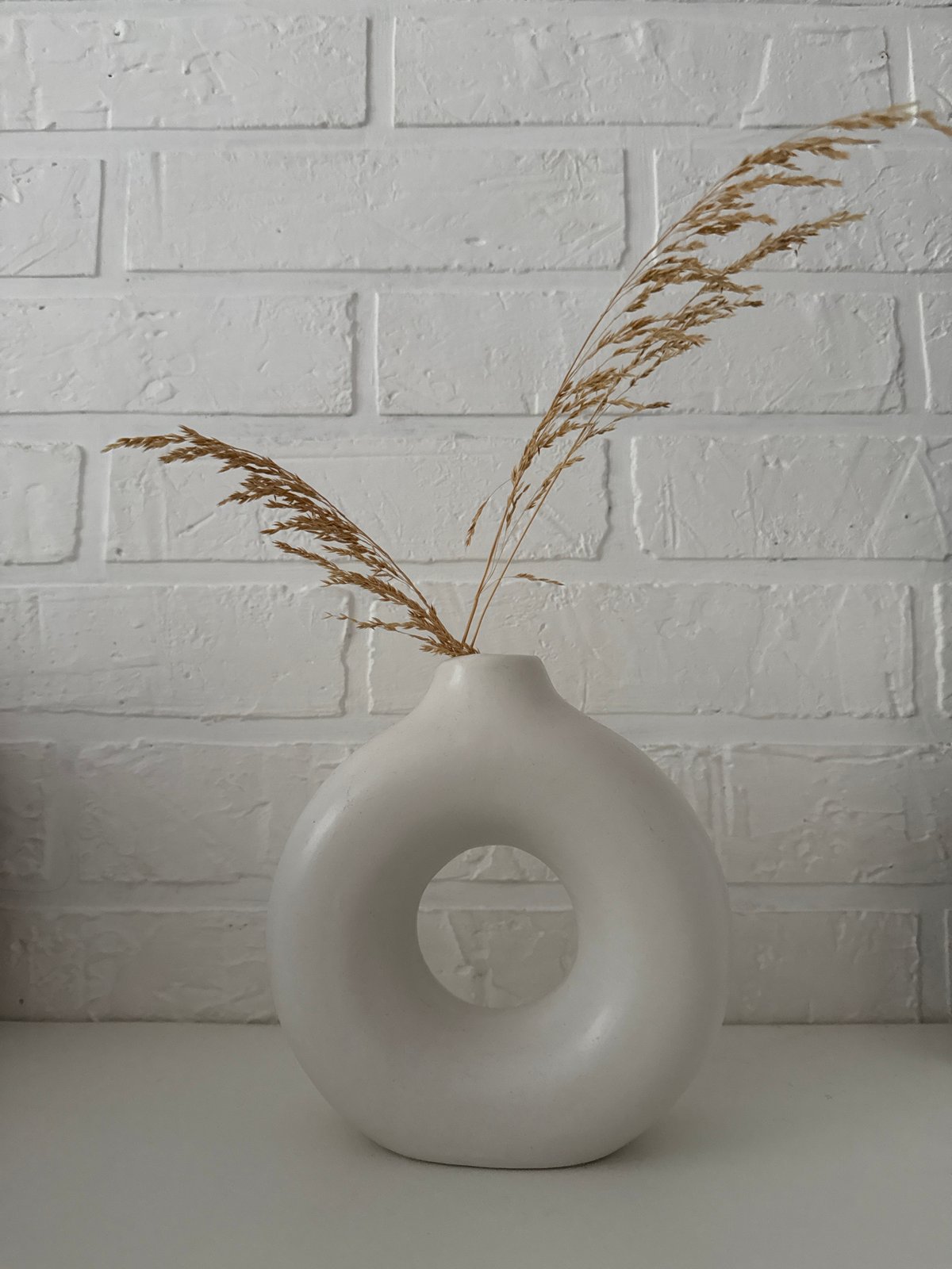 Tabby cat, sliced oranges, and a minimalist vase at home