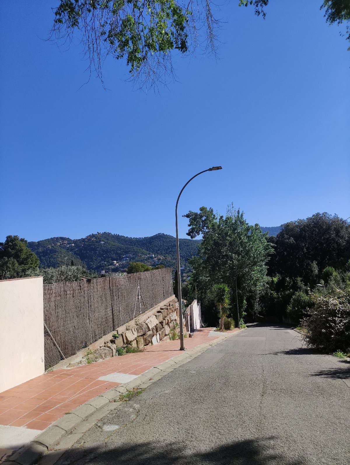 Street scene captured in El Racó, Spain