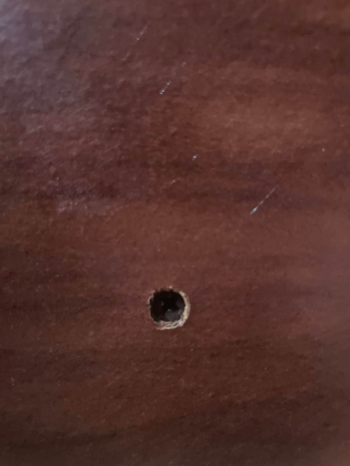 Close-up of a small hole in a textured wooden surface