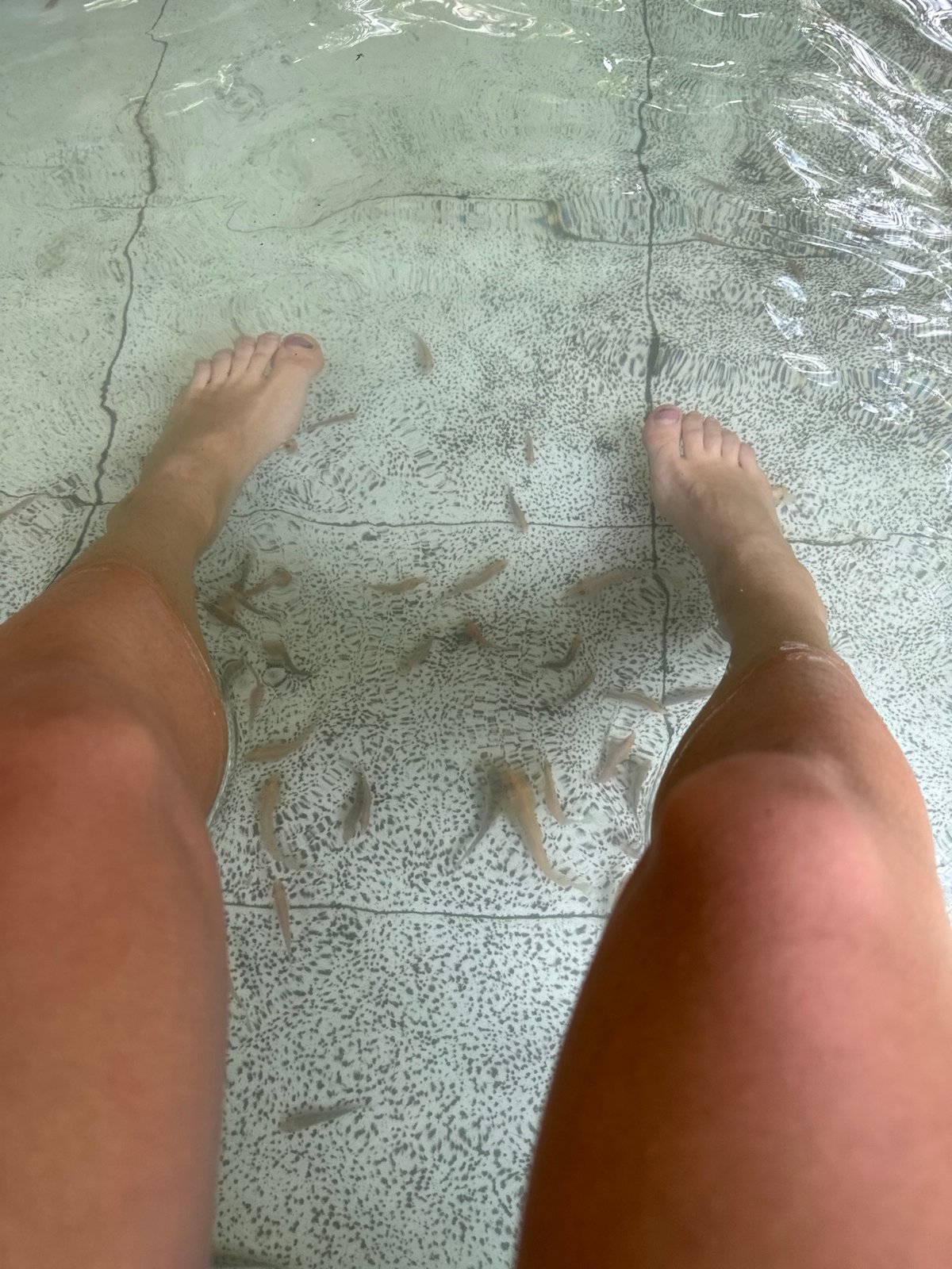 Fish spa treatment captured in Đà Nẵng, Vietnam