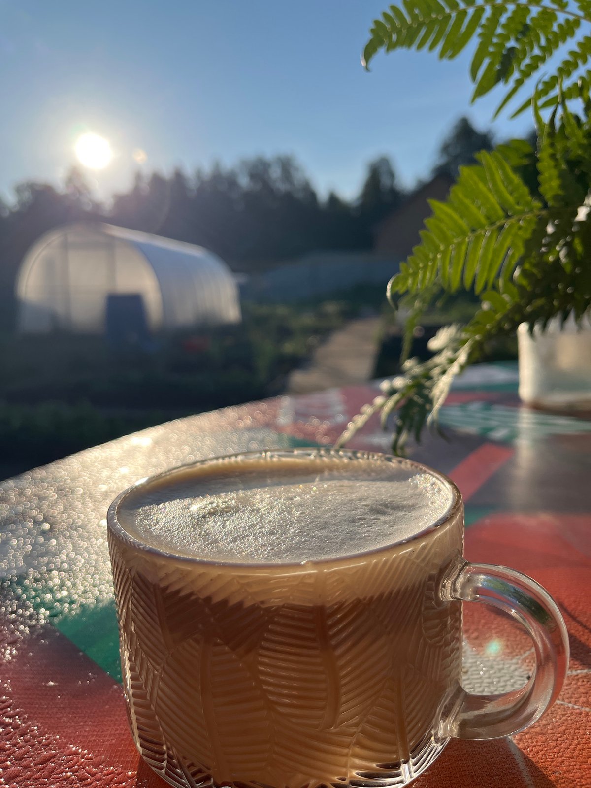 Orange-haired person enjoys morning drink outdoors in Chaikovsky, Russia